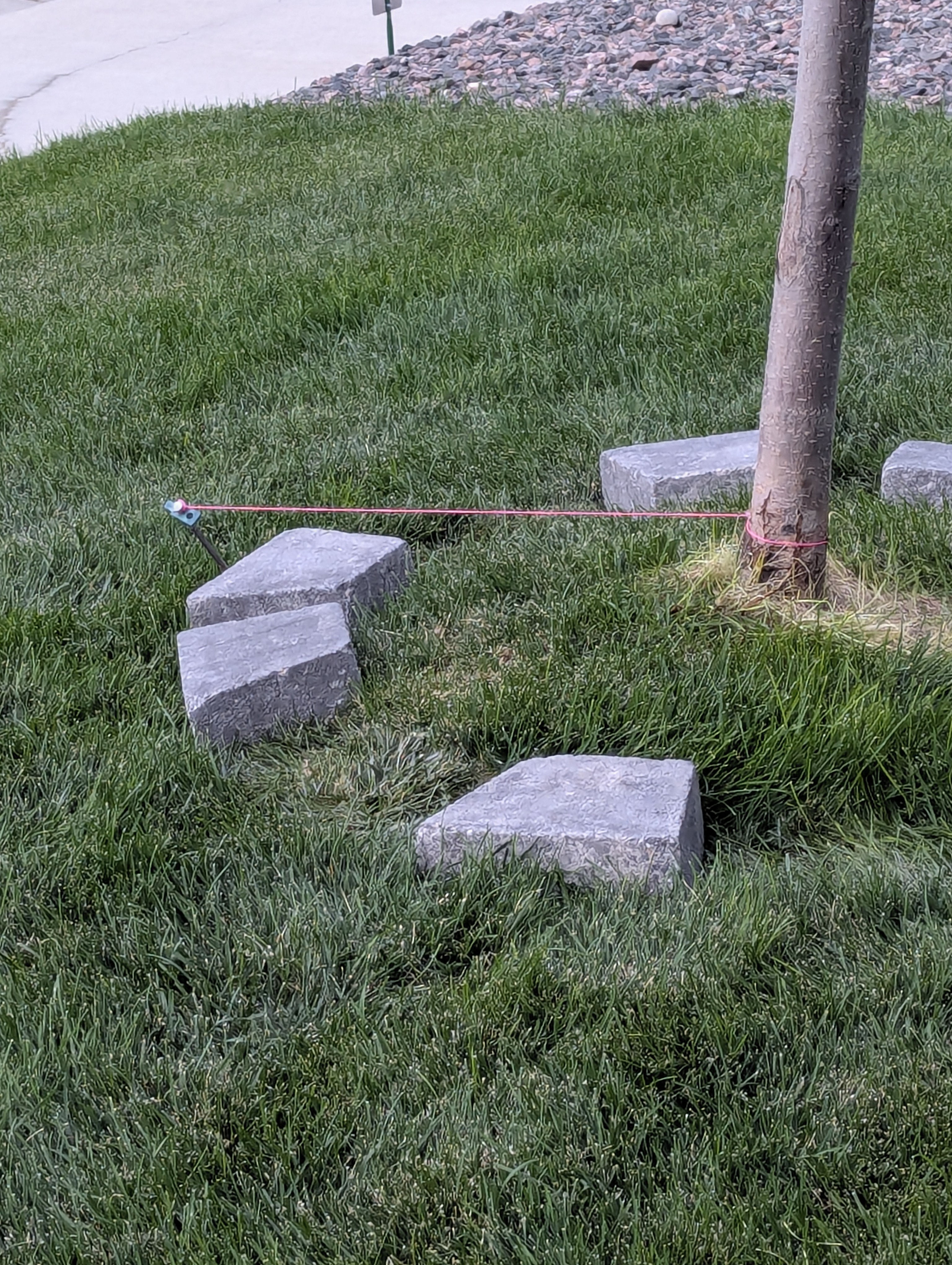 Tree Ring, Home Improvement, Morrison, Colorado